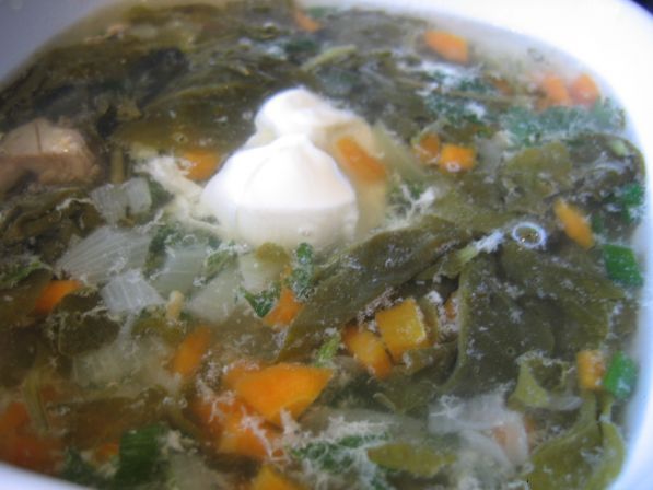 Фото: Суп из щавеля и крапивы